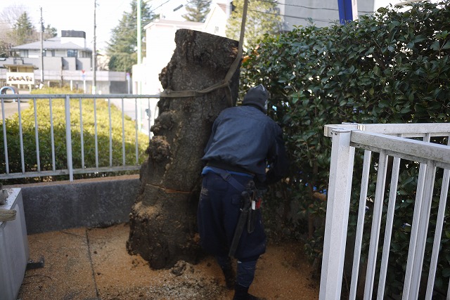 庭木伐採撤去作業