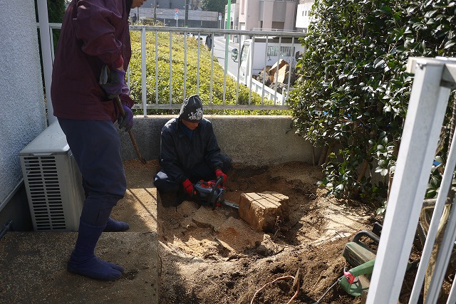 庭木伐採撤去作業